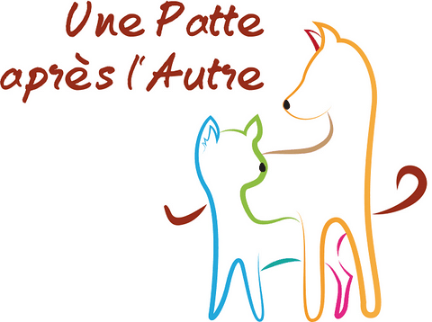 Une Patte après l'Autre, une approche respectueuse du chien