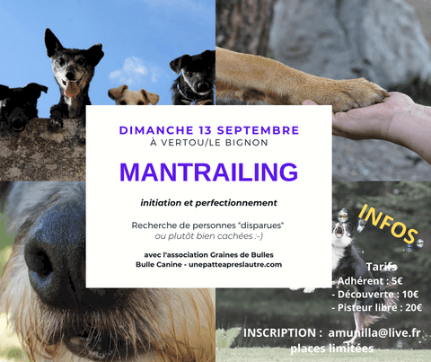 Mantrailing en Vendée et Loire-Atlantique